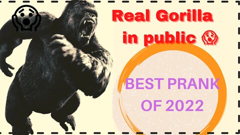 Indian gorilla 🦍 #indian prank #funny 🤣🤣