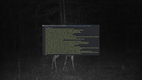 Strangeness of The Russian Wilderness 4Chan Scary Stories /X/