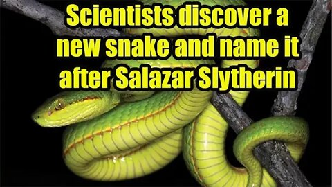 Scientists discover a new snake and name it after Salazar Slytherin