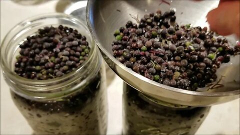 Anti-viral Elderberry Jelly!