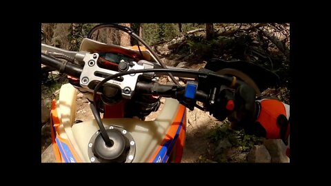 Gunnison National Forest - Horseshoe Creek Trail - Part 2