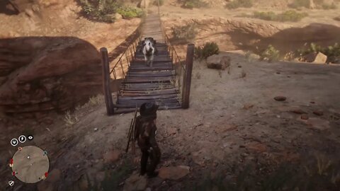 Red Dead Online(PC) - Attempting the Bridge Glitch