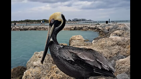 Beach Day at Jetty in Fort Pierce, Florida