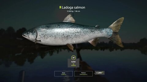 Russian Fishing 4 Volkhov River Ladogo Salmon 5.544 Kg