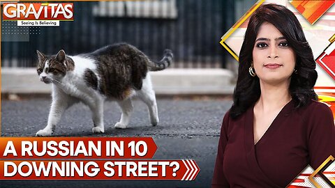 10 Downing Street has a new cat | Gravitas | World News | WION