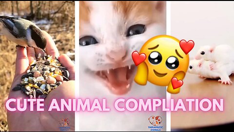 Welcome 2023🎉With Cute & Funny Animal Compilation😍🎉