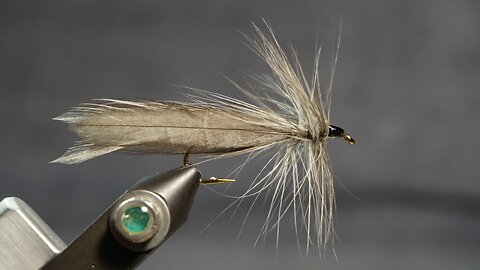 Hackle-Wing Streamer (Fling & Puterbaugh 17/30)