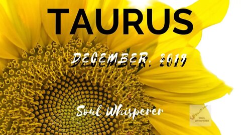 ♉ TAURUS ♉ : Releasing the Old To Make Way For the New * December