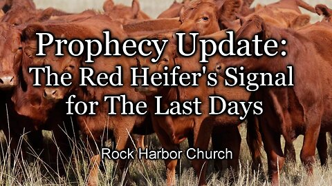 Prophecy Update: The Red Heifer’s Signal for The Last Days