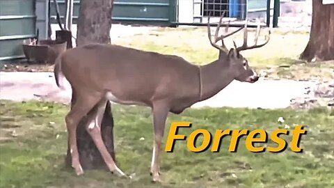 I'm concerned! Will Forrest be able to Breed? Time will Tell!