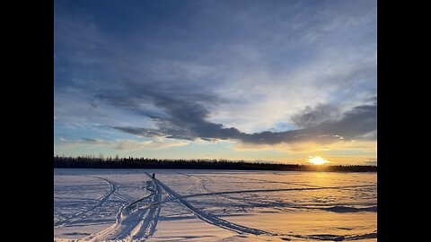 Chena River Excursion in Fairbanks, Alaska (치나리버체험)