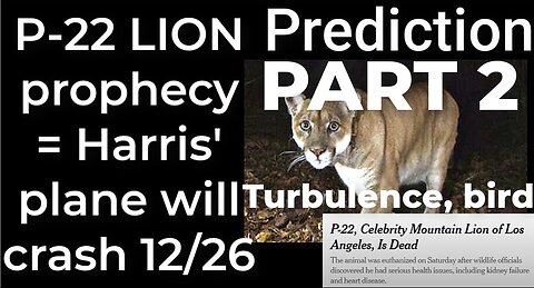 PART 2 - Prediction: P-22 LION prophecy = Harris' plane will crash Dec 26