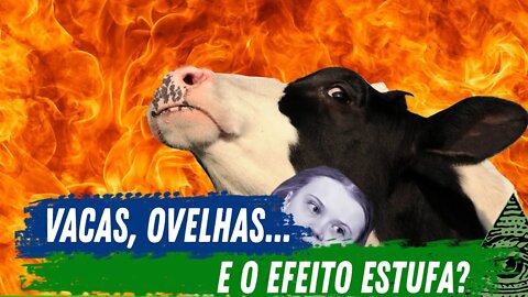 VACAS, OVELHAS E O EFEITO ESTUFA!?