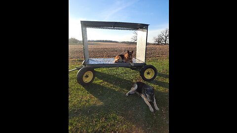 MOBILE FIREWOOD RACK