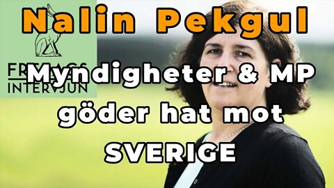 Nalin Pekgul: MP & Myndigheter göder hat mot egna landet