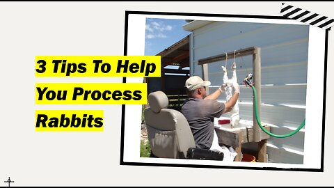 3 Tips To Help You Process Rabbits