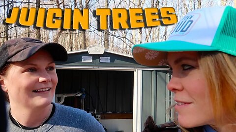 Making Michigan Maple Syrup - From Tree to Cooker!