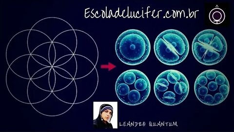 Por que entender a geometria sagrada e como interagir com os elementos?