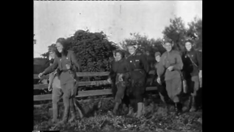 ww2 footage of the night witches