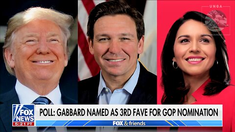 Tulsi Gabbard: ‘Woke, Radical Ideologues’ Are Controlling the Democratic Party