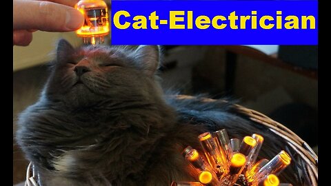 Cat-Electrician. Light went out so had my electrician take a look at the prob...