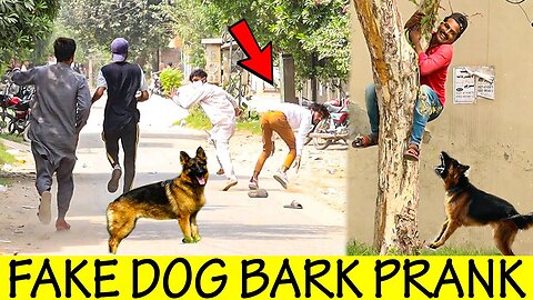 Real Dog Bark Prank @SmartiesPrankTV