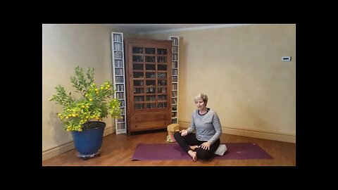 inserting vinyasa - 2 for 1