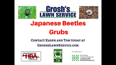 Japanese Beetles Smithsburg Maryland Tree and Shrub Care