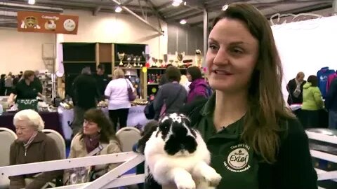 🐰 Bunny Jumping Competition - Hop into the Action! 🥕🏆