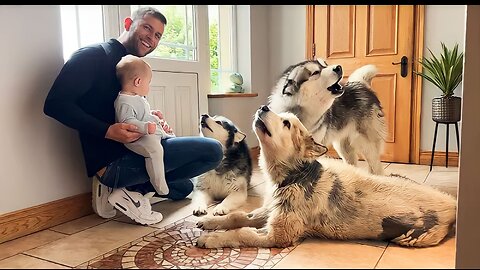 Adorable Baby Boy Teaches His Wolves To Howl! (Cutest Ever!!)