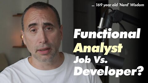 Functional Analyst job Vs. Developer?