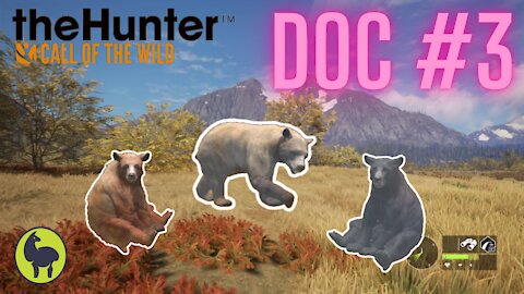 The Hunter: Call of the Wild, Doc #3