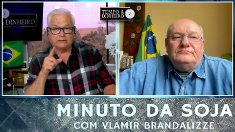 Soja recuando em Chicago e batendo recorde de exportações no Brasil