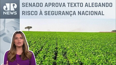 Kellen Severo: EUA proíbem China de comprar terras agrícolas no país