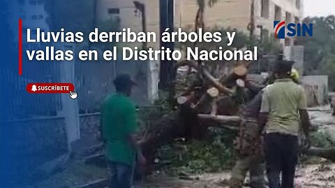 Lluvias derriban árboles y vallas en el Distrito Nacional