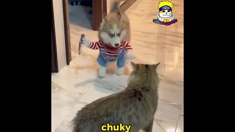 CUTE FUNNY CHUCKY