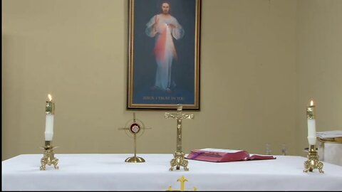 LIVE Mass of Divine Mercy Sunday with Fr. Frank Pavone of Priests for Life