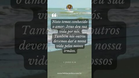 1 João 3,16 - Nisto temos conhecido o amor: Jesus deu sua vida por nós. Também nós outros devemos da