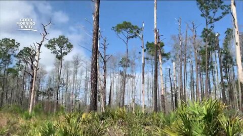 Get outdoors at Starkey Wilderness Park