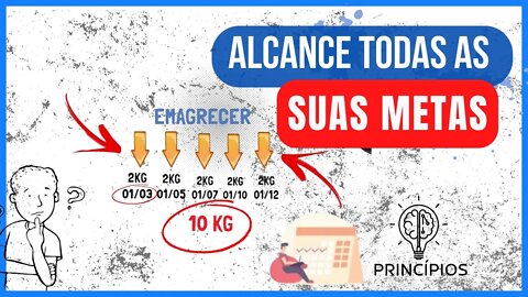 3 PRINCÍPIOS PARA ALCANÇAR SUAS METAS #03