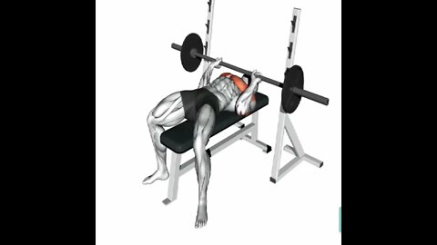 chest exercise in gym, equipment need; barbell. three Best exercise.