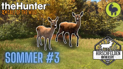 The Hunter: Call of the Wild, Sommer #3 Hirschfelden (PS5 4K)