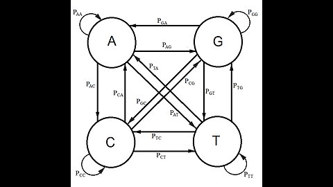 The Kishony Mega-Plate Experiment, a Markov Process