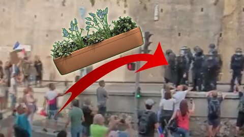 Nice : il jette une jardinière sur la police !