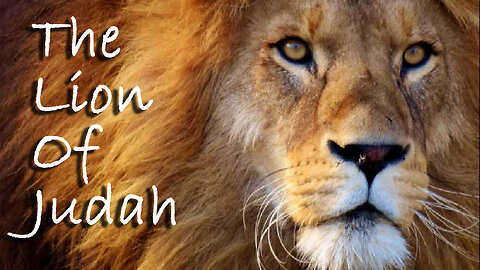 The Lion Of Judah -- Instrumental Worship Chorus