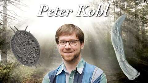 Winzige Wimpern und Fettschwalme - Peter Kohl