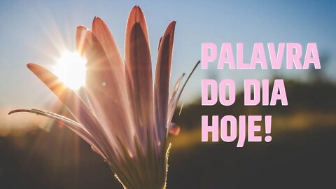 Palavra do Dia Hoje - Mantenha Firme sua Esperança em Deus