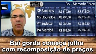 Boi gordo começa julho com recomposição de preços prevista para este semestre