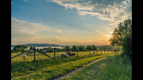 Farmer Protests: MPs Question Government on EU Great Reset Agenda, Forcing Farms to Close / WEF