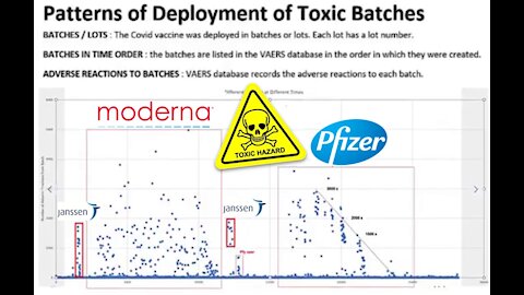 Highly Disturbing VAERS Analysis: Clear patterns in toxic vaccine batches - Craig Paardekooper